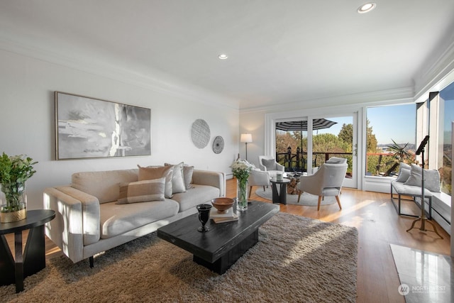 living room with ornamental molding and hardwood / wood-style floors