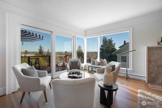 sunroom / solarium with baseboard heating