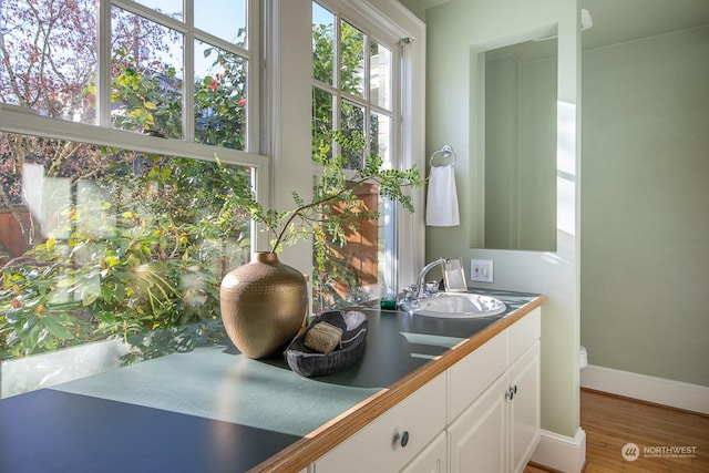 bathroom with hardwood / wood-style flooring and vanity