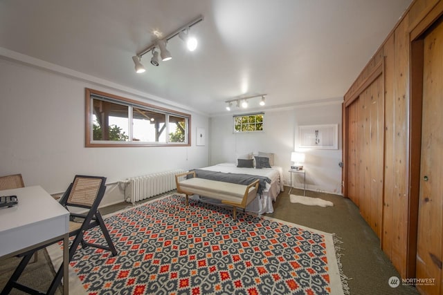 carpeted bedroom featuring rail lighting, radiator heating unit, crown molding, and a closet