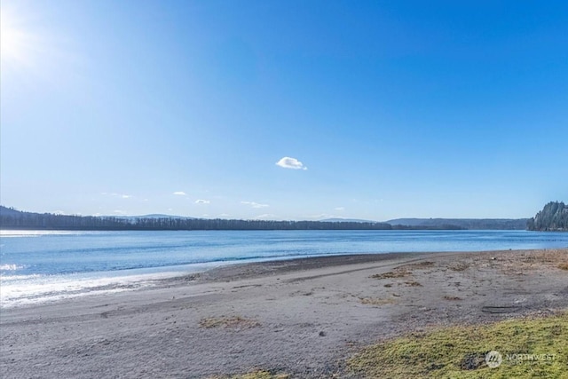 property view of water featuring a beach view