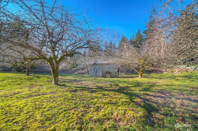 view of yard with a storage shed