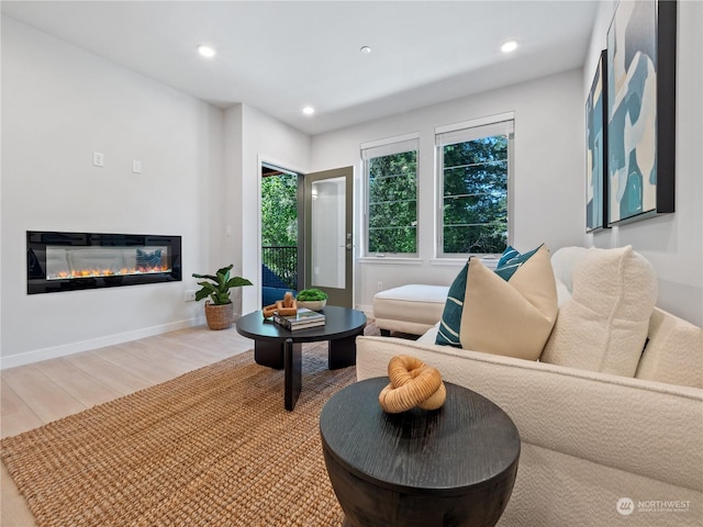 living room with hardwood / wood-style flooring