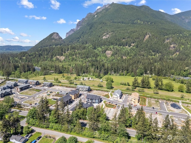 birds eye view of property featuring a mountain view