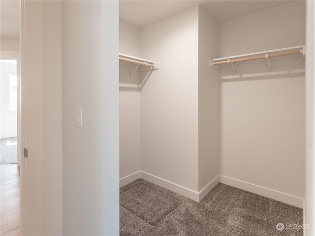 spacious closet with carpet