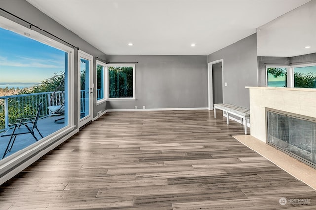 interior space with wood-type flooring and a wealth of natural light