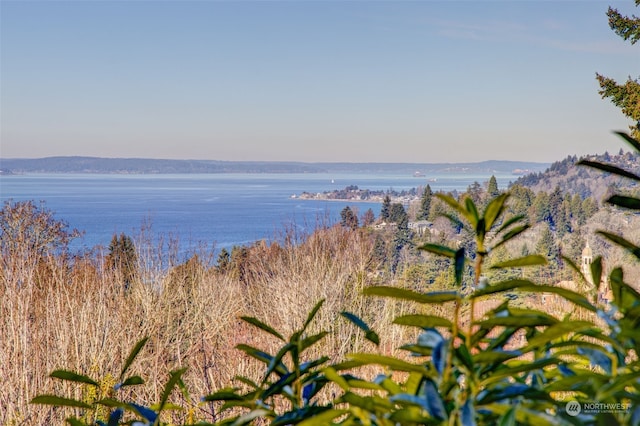 property view of water with a mountain view