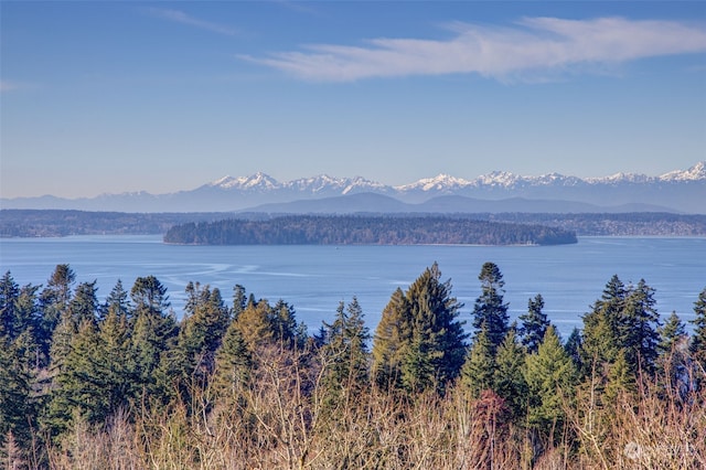 water view with a mountain view