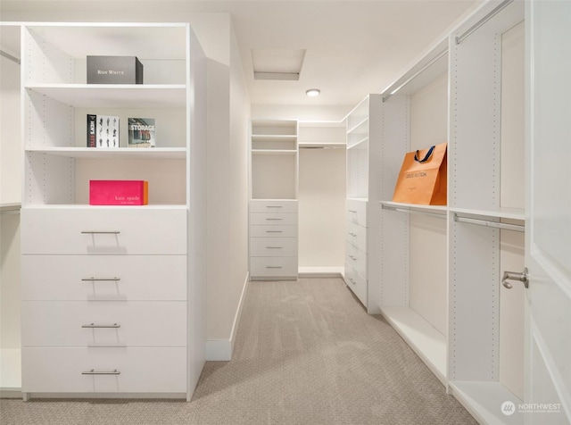 spacious closet with light colored carpet