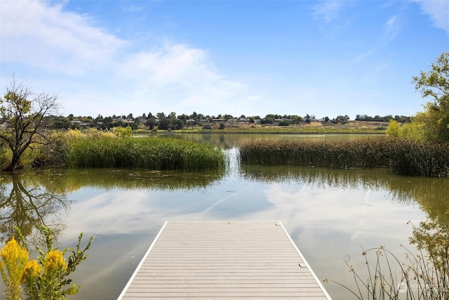 view of dock with a water view