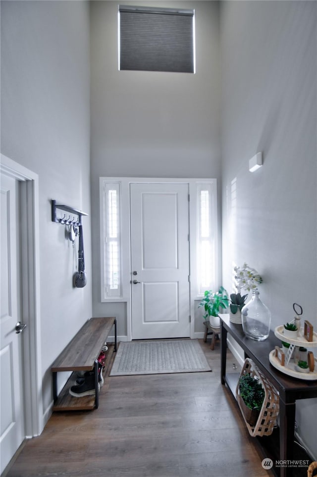 entrance foyer featuring hardwood / wood-style flooring and a towering ceiling