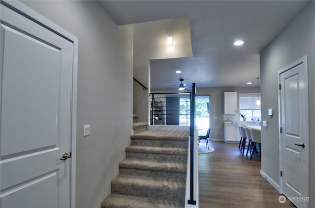 staircase with wood-type flooring and ceiling fan