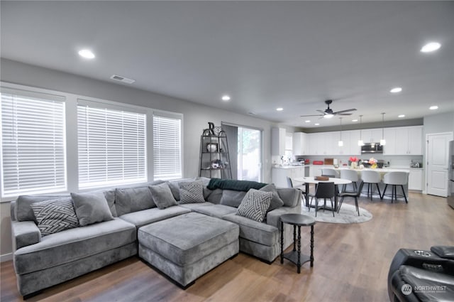 living room with hardwood / wood-style flooring and ceiling fan