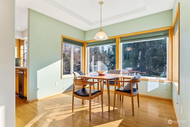 dining area with a healthy amount of sunlight, a tray ceiling, and light hardwood / wood-style floors