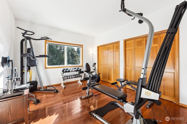 workout room featuring hardwood / wood-style flooring