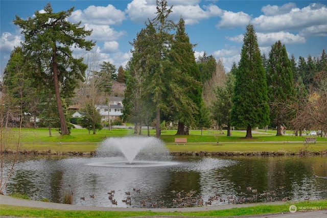 water view