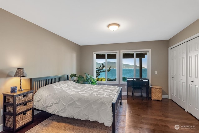 bedroom with dark wood-style floors, baseboards, a mountain view, and a closet