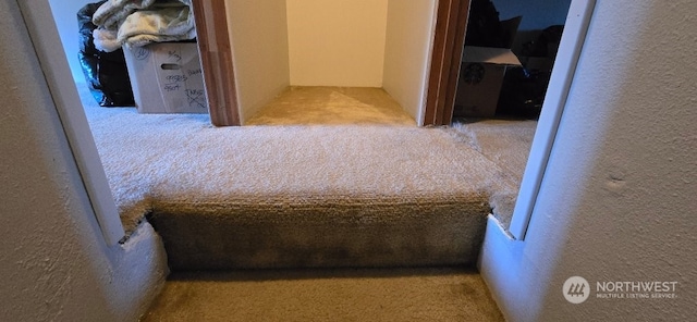 bedroom featuring light colored carpet