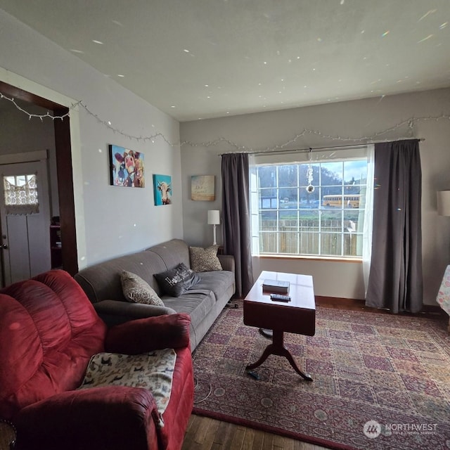 living room featuring dark wood-type flooring