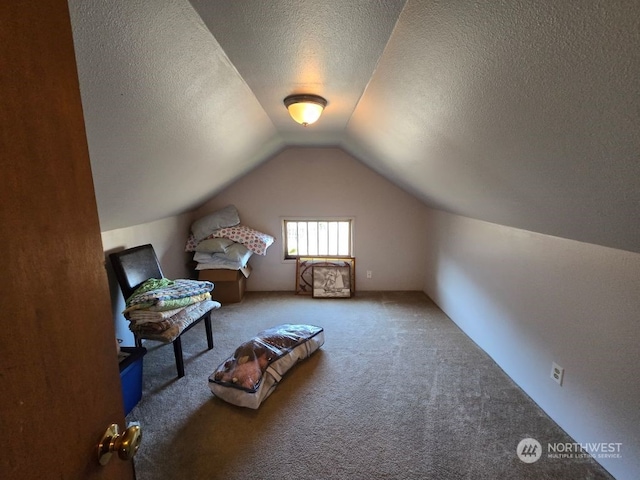 additional living space featuring lofted ceiling, carpet, and a textured ceiling