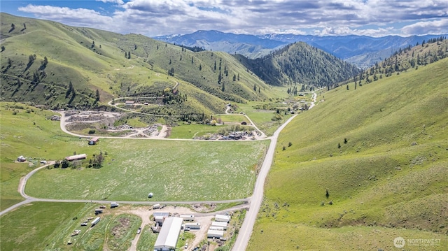 7300 Nahahum Canyon Rd, Cashmere, WA 98815 - bird's eye view with a mountain view
