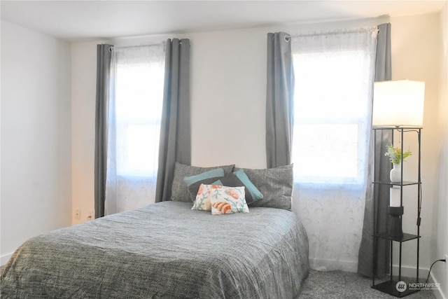 bedroom featuring multiple windows and carpet