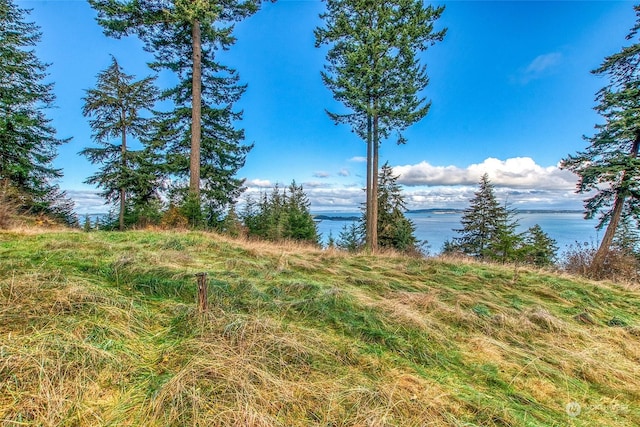 359 Georgia Strait Ln, Orcas Island WA, 98245 land for sale