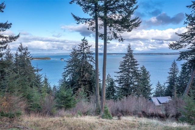 Listing photo 3 for 359 Georgia Strait Ln, Orcas Island WA 98245