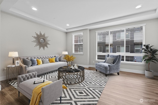 living room featuring hardwood / wood-style floors and a raised ceiling