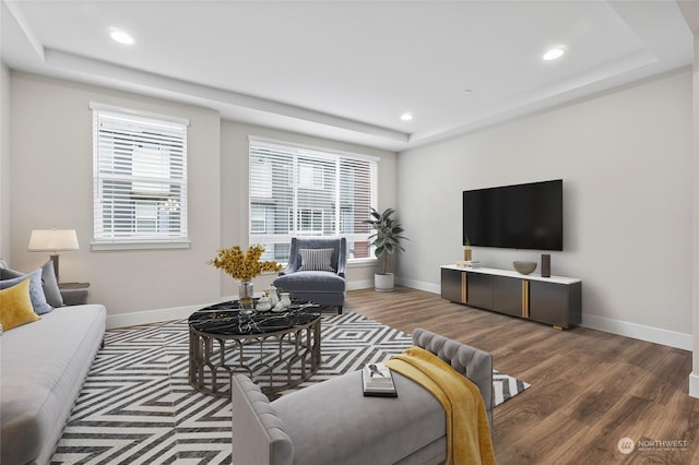 living room with a raised ceiling and dark wood-type flooring