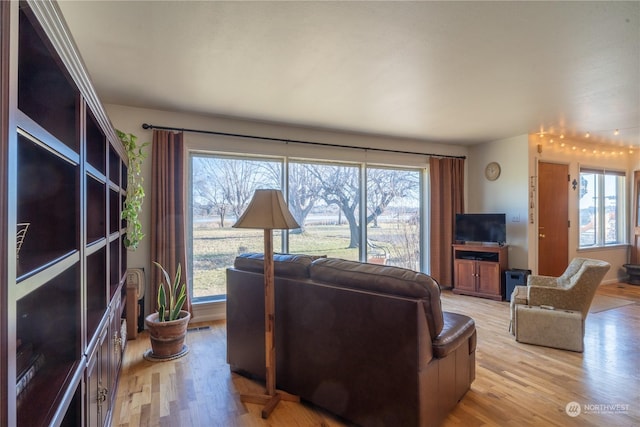 living room with a healthy amount of sunlight and light hardwood / wood-style floors