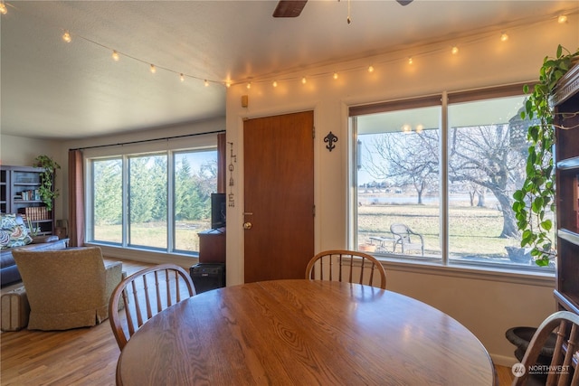 dining space featuring a ceiling fan and wood finished floors