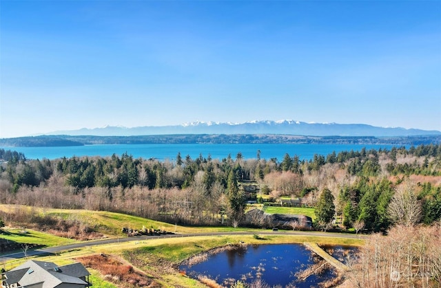 aerial view with a water and mountain view