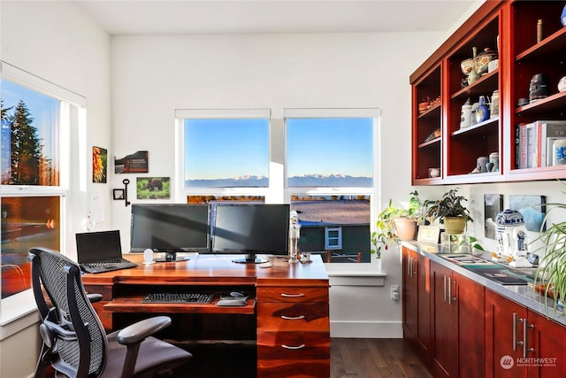 office featuring dark hardwood / wood-style flooring