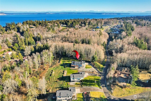 bird's eye view featuring a water and mountain view