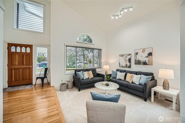 carpeted living room with high vaulted ceiling, track lighting, and wood finished floors