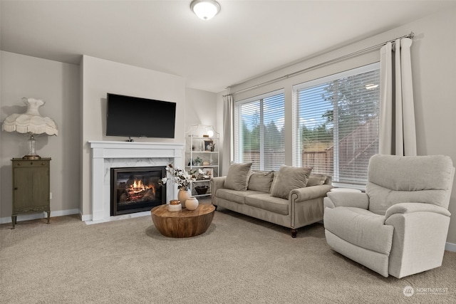 living room featuring a fireplace and carpet