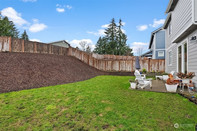 view of yard featuring a patio area