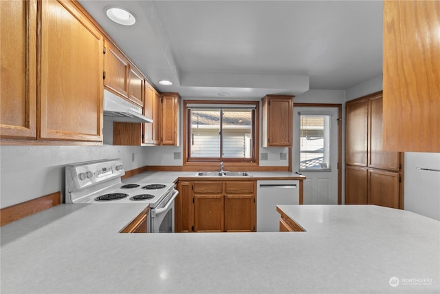 kitchen featuring sink, stainless steel dishwasher, and white electric range