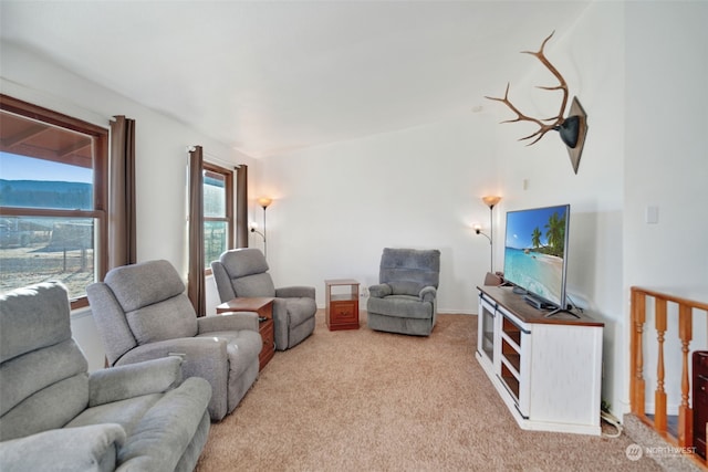 view of carpeted living room