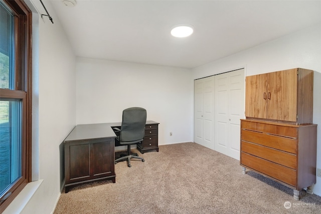 office area featuring carpet flooring