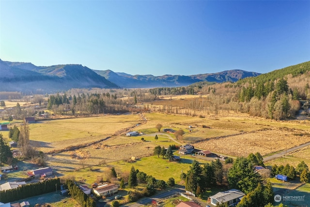 property view of mountains with a rural view