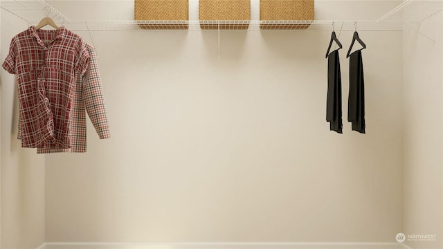 view of walk in closet