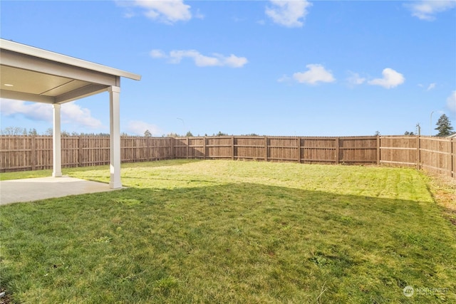 view of yard featuring a patio area