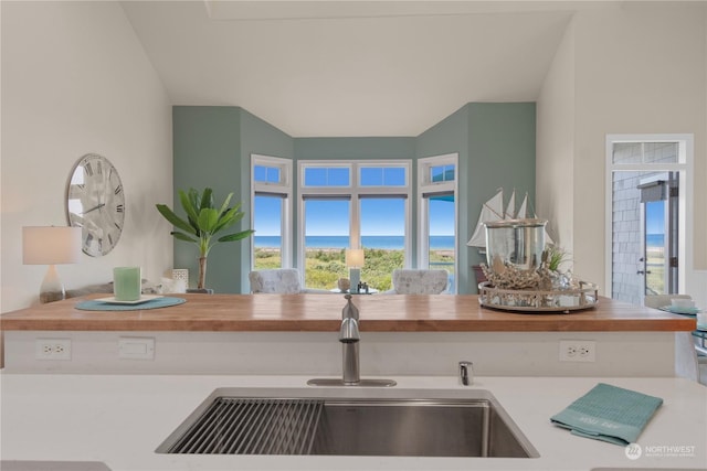 interior details featuring sink and wood counters