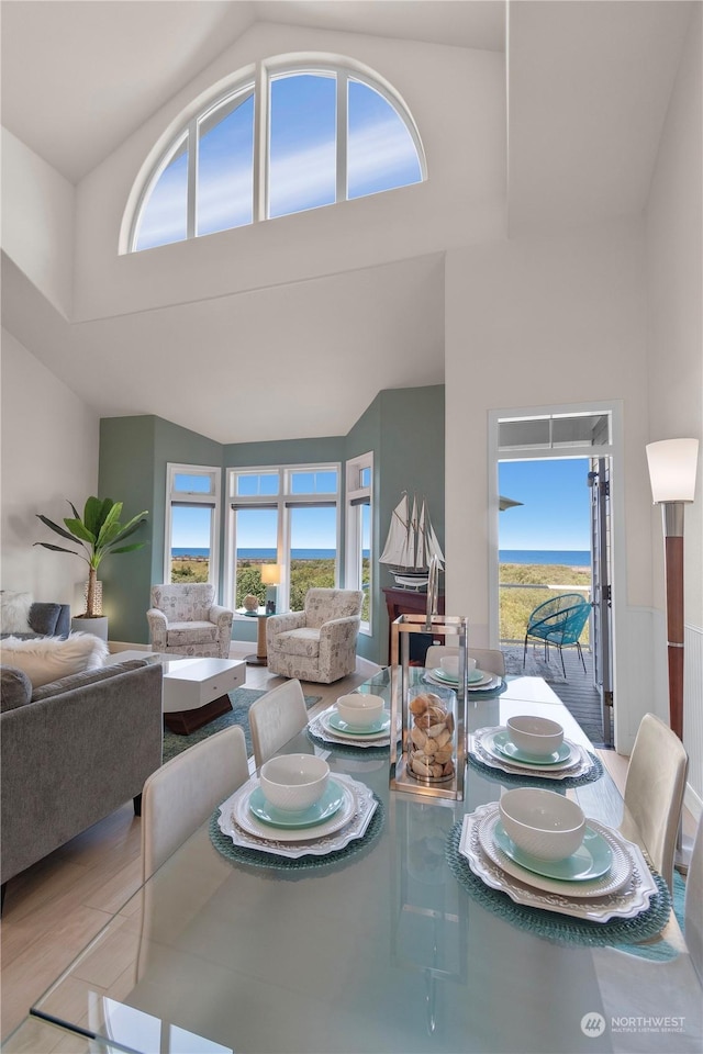 dining room featuring high vaulted ceiling