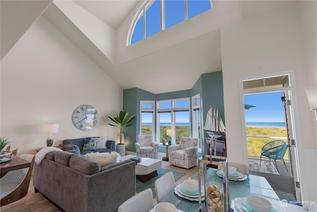 living room with wood-type flooring and high vaulted ceiling