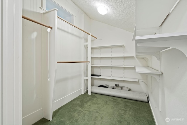 walk in closet with carpet flooring