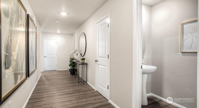 hall featuring dark hardwood / wood-style floors