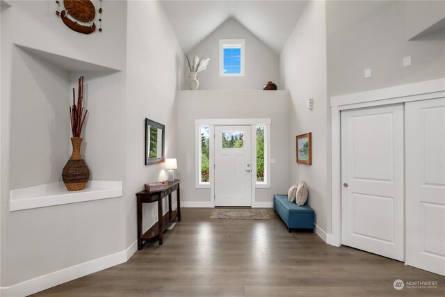 foyer with dark wood-type flooring and high vaulted ceiling